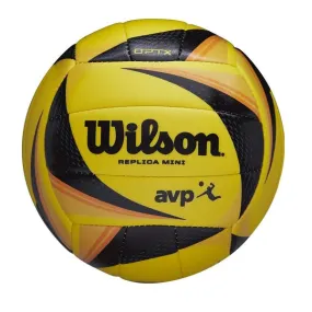 AVP Mini Beach Volleyball