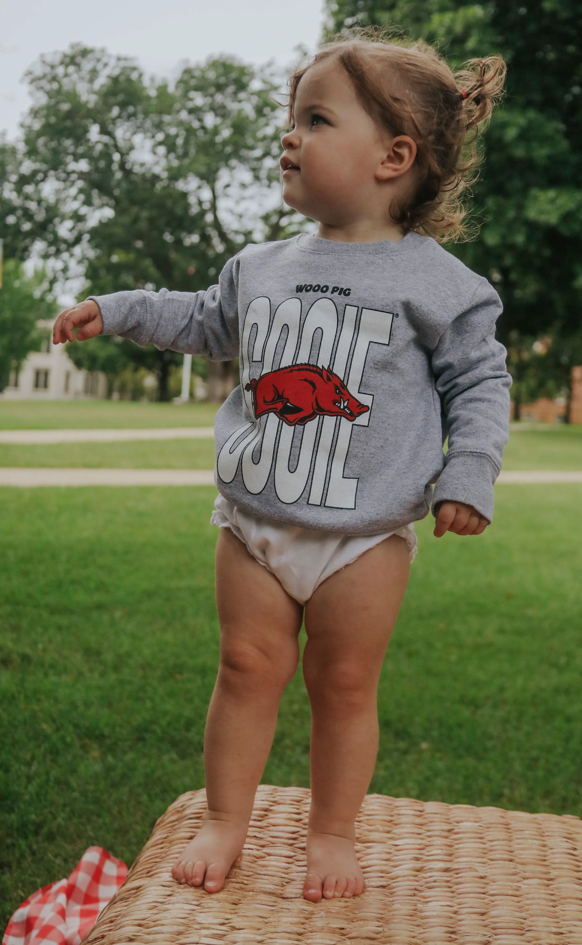 charlie southern: woo pig sooie toddler sweatshirt